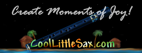 The Pocket Saxophone XAPHOON. 2 Octave, sax mouthpiece. From Hobgoblin  Music